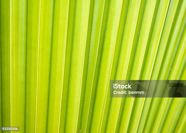 Fondo De Hoja Verde Foto de stock y más banco de imágenes de Abstracto - Abstracto, Aire libre, Arbusto