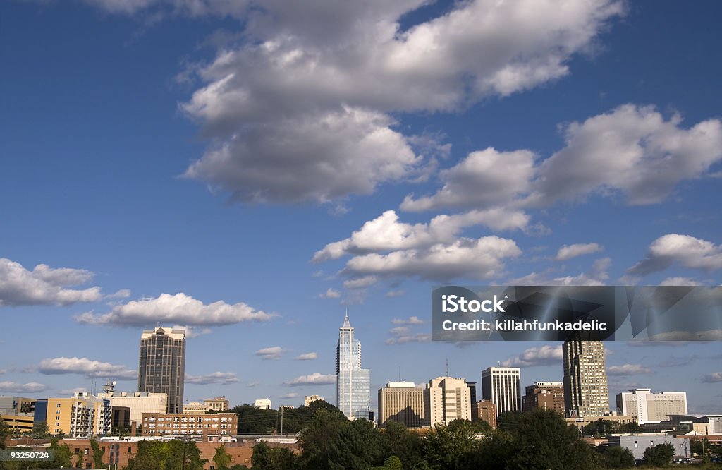 Raleigh North Carolina z widokiem na panoramę miasta - Zbiór zdjęć royalty-free (Raleigh)