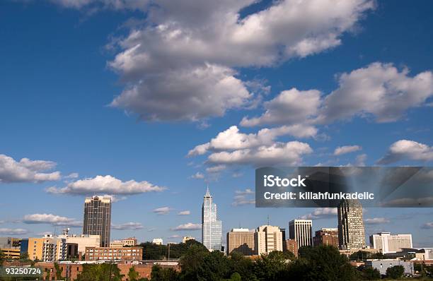 Raleigh North Carolina Z Widokiem Na Panoramę Miasta - zdjęcia stockowe i więcej obrazów Raleigh