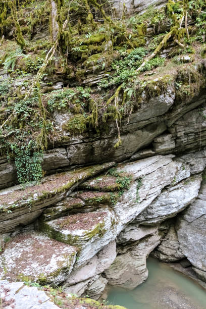 istock Mountain stream is washed by sharp rocks of the mountain 932510490