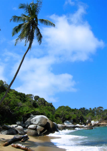 istock Beach and Coastline in Colombia 932512592