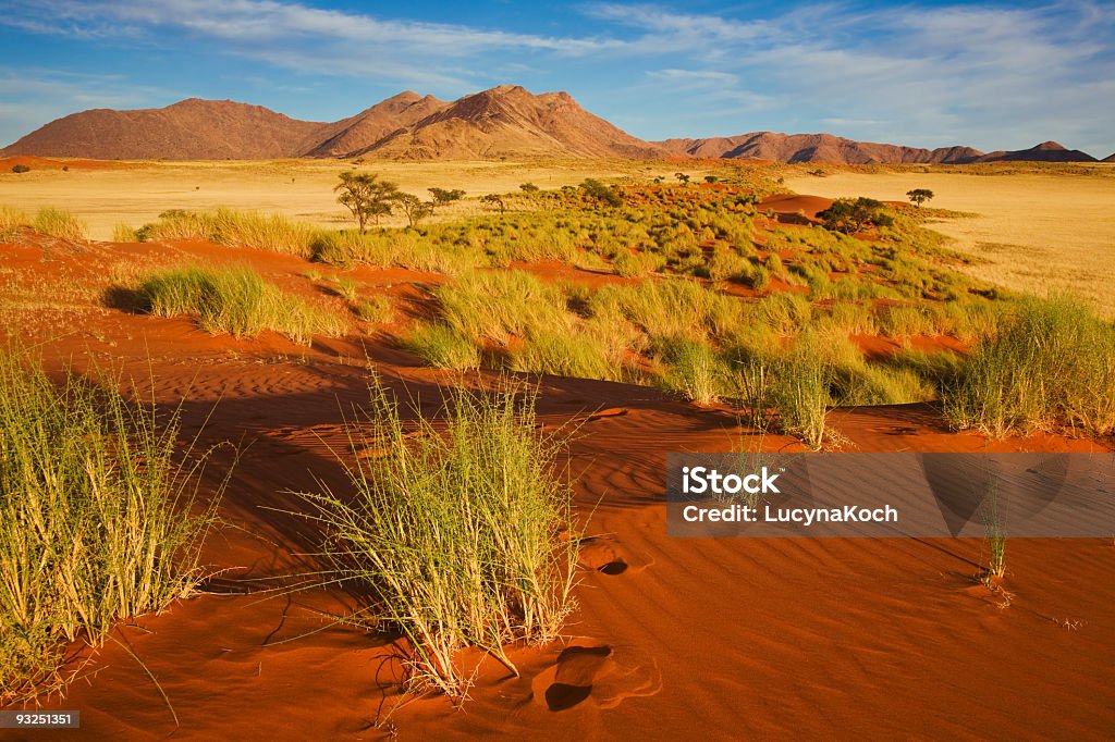 Morgenstimmung - Lizenzfrei Namibia Stock-Foto