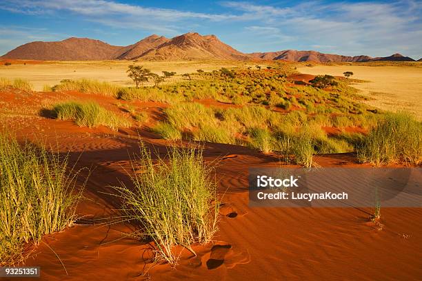 Morgenstimmung Stockfoto und mehr Bilder von Namibia - Namibia, Niemand, Wüste