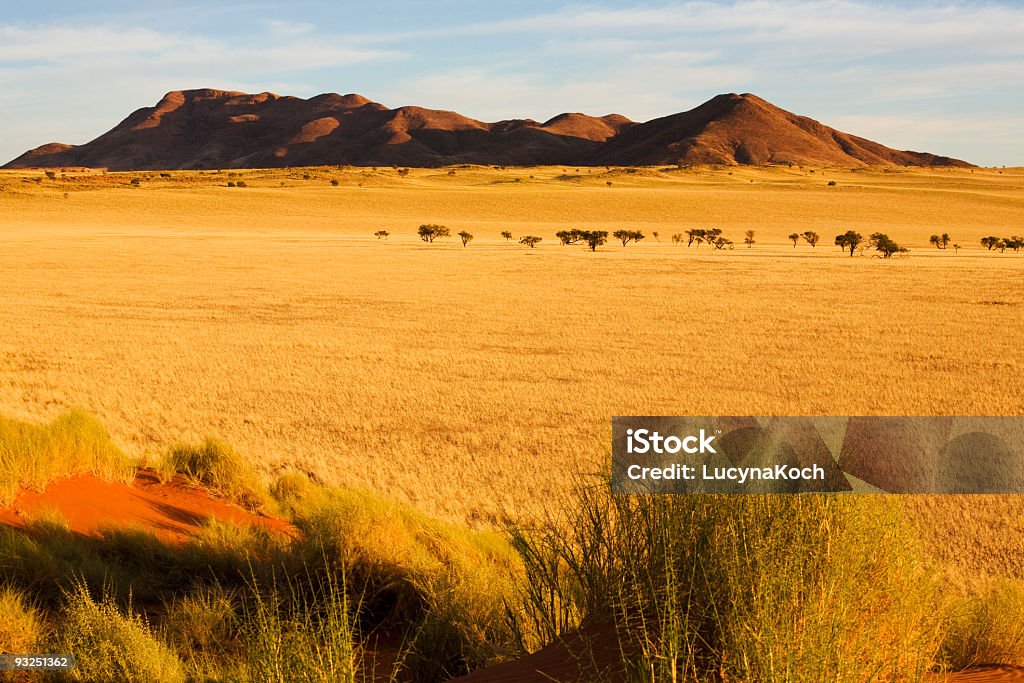 Morgenstimmung - Lizenzfrei Afrika Stock-Foto