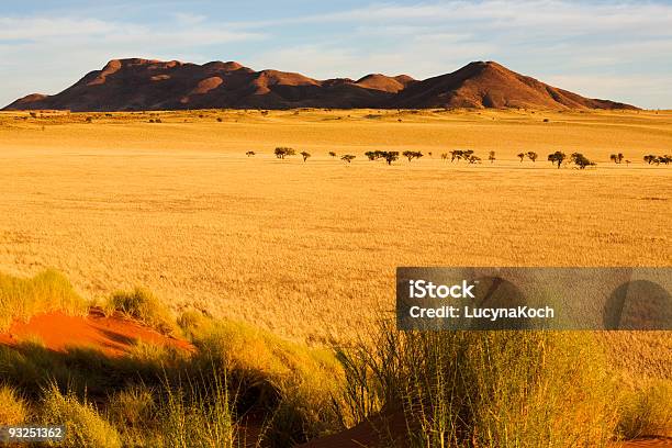 Photo libre de droit de Morgenstimmung banque d'images et plus d'images libres de droit de Afrique - Afrique, Arbre, Aube