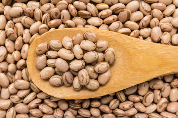 istock Directly Above Shot Of Pinto Beans 932519944