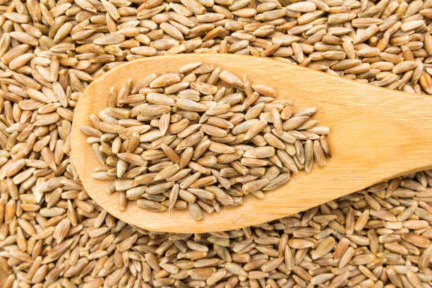 istock Directly Above Shot Of Wheat 932520922