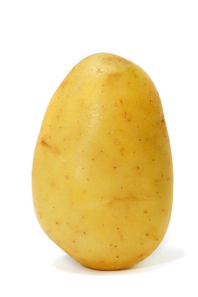 istock Single Yukon gold potato on a white background 93252530