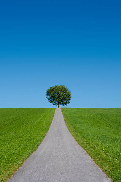 La protection de l'environnement - Photo