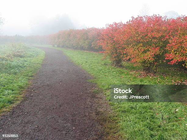 Photo libre de droit de Myrtille Foggy Bottom Ferme banque d'images et plus d'images libres de droit de Automne - Automne, Bellevue - État de Washington, Brouillard