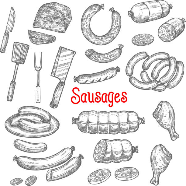 illustrations, cliparts, dessins animés et icônes de set d’icônes produits vector esquisse viande saucisse - butchers shop butcher meat delicatessen