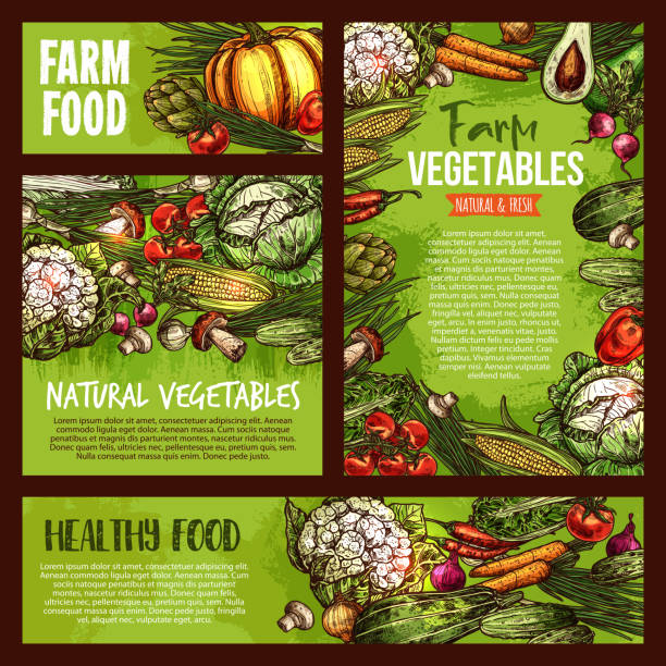 wektor warzyw warzyw warzywna farma żywności szkic plakaty - vegetable leek kohlrabi radish stock illustrations