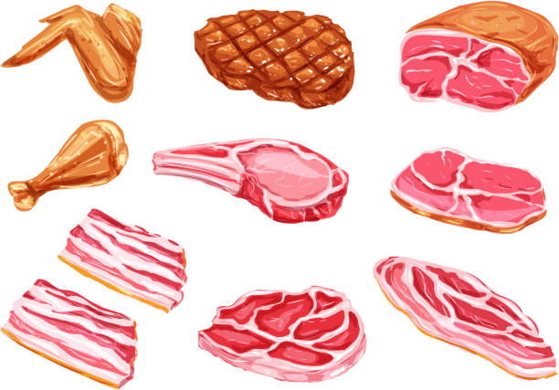 ilustraciones, imágenes clip art, dibujos animados e iconos de stock de iconos de vector carne productos pintura acuarela - bacon illustration and painting pork ham