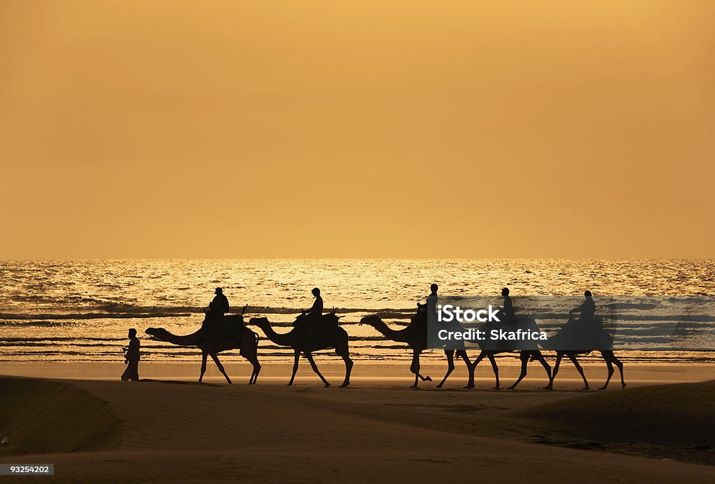 Silhoutte de dromedario y turistas en la puesta de sol - Foto de stock de Aire libre libre de derechos