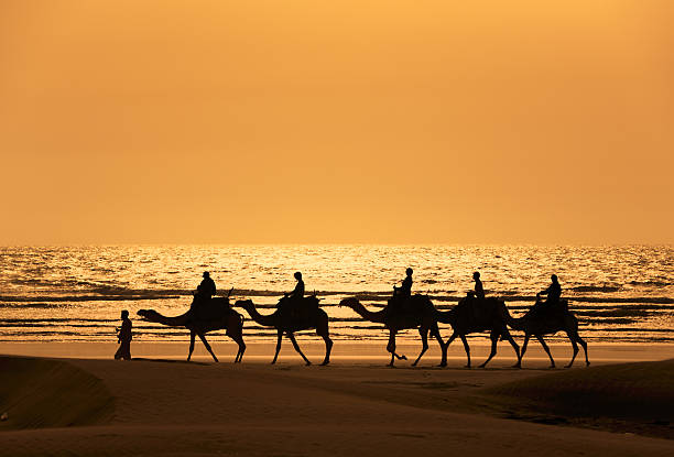 istock Silhoutte of dromedary and tourists at sunset 93254202