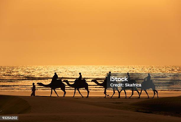 Silhoutte Из Одногорбый И Туристов На Закате — стоковые фотографии и другие картинки Арабеска - Арабеска, Аравия, Африка