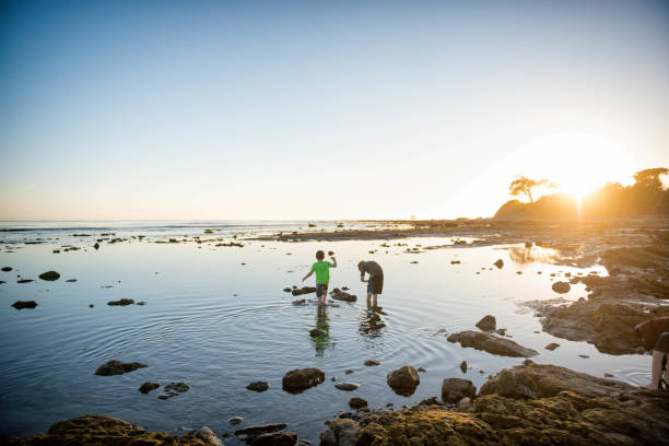 Children at the Santa Barbara tide pools at sunset Family enjoying a beautiful sunset in the tide pools of Santa Barbara, father and son spend quality time together. tidal pool stock pictures, royalty-free photos & images