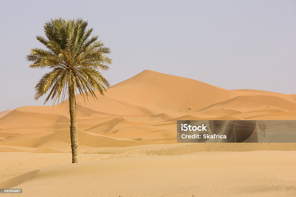 Deserto do Saara - Foto de stock de Deserto royalty-free