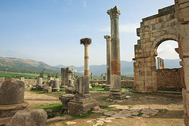 istock Ruins and remains of Volubilis Capitol 93254980