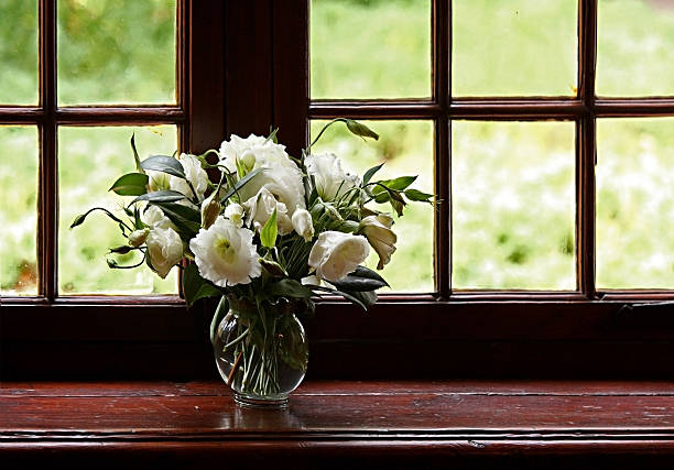 Flowers in window stock photo