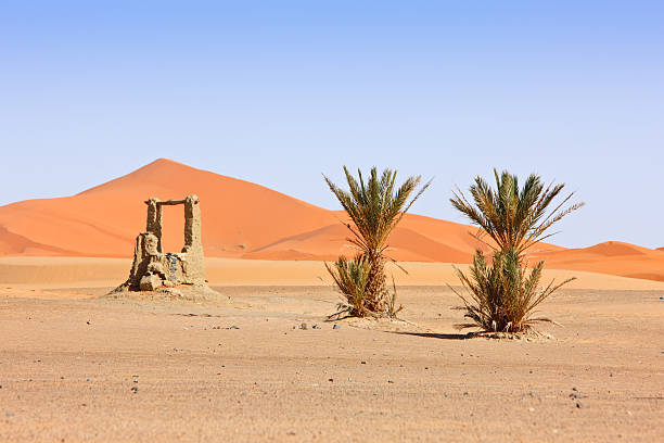 istock Arabian Sand Dunes and fountain 93255253