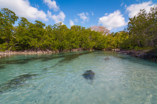 istock Amazing Laguna On The Caribbean Island 932553282