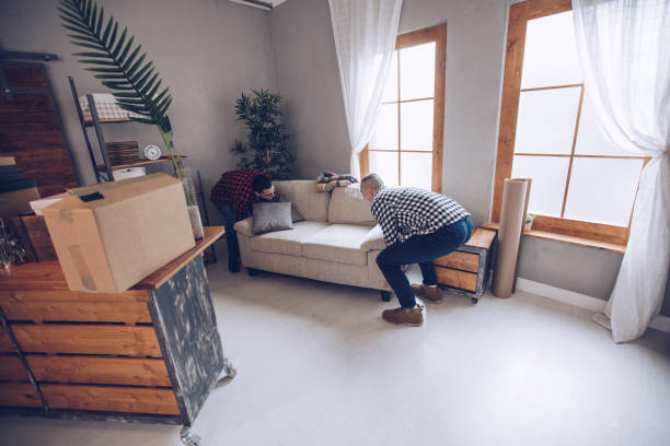 istock Settling into their new home 932555692