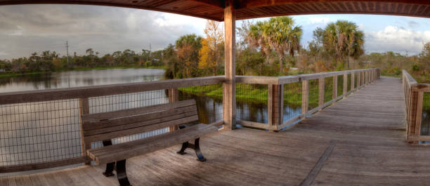 istock Wooden bench on a secluded, tranquil boardwalk 932556616