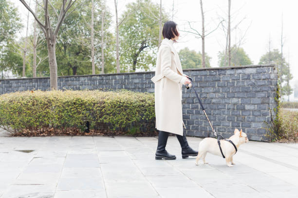 istock young woman walking her dog in park 932557120
