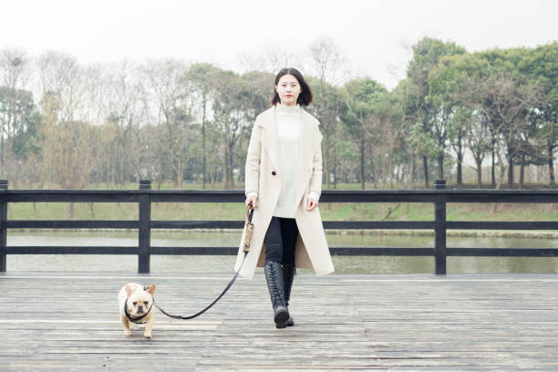 istock young woman walking her dog in park 932557134