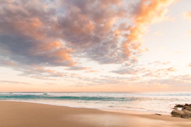 istock Golden Sunrise on Palm Beach 932559580