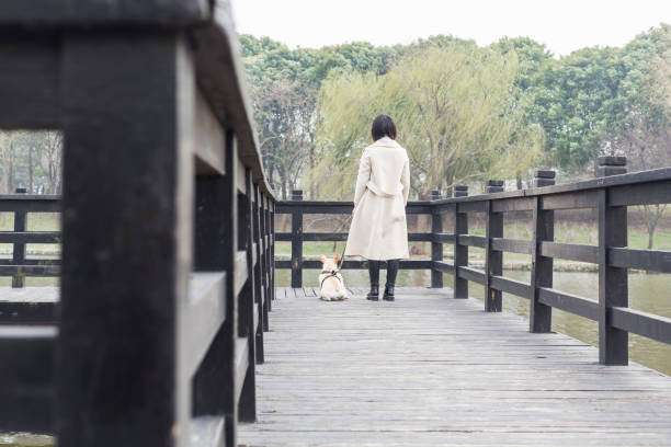istock young woman walking her dog on footbridge 932559596