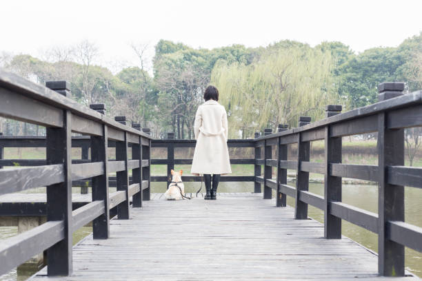 istock young woman walking her dog on footbridge 932559616