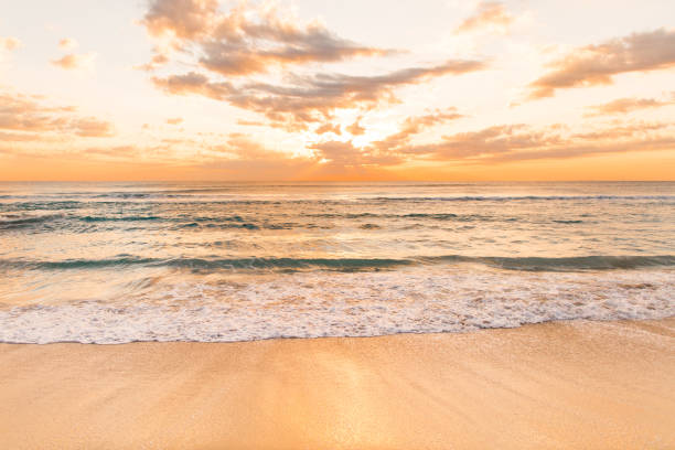 istock Golden Palm Beach Sunrise 932559740