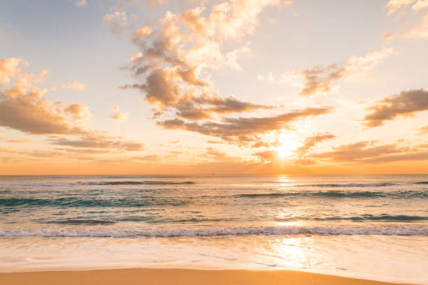 istock Golden Palm Beach Sunrise 932560072