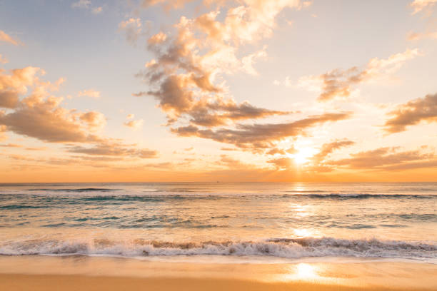 istock Golden Palm Beach Sunrise 932560124