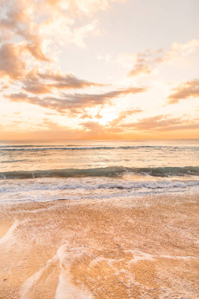 istock Golden Palm Beach Sunrise 932560156