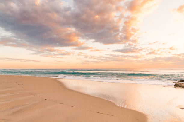 istock Golden Sunrise on Palm Beach 932560788