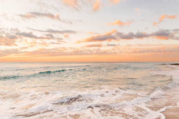 istock Golden Sunrise on Palm Beach 932560984
