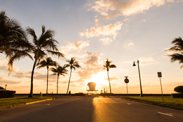 istock Golden Palm Beach Sunrise 932561010
