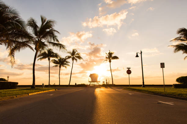 istock Golden Palm Beach Sunrise 932563388