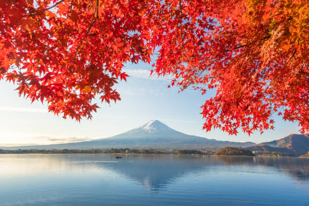 montagna fuji e lago kawaguchiko al mattino, autunno stagioni montagna fuji a yamanachi in giappone. - volcano lake blue sky autumn foto e immagini stock