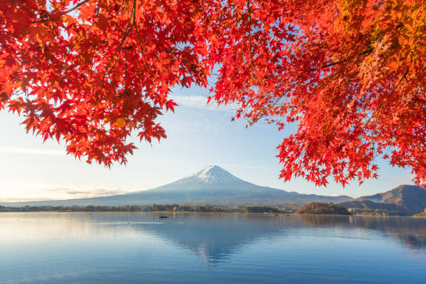 Fuji mountain and Kawaguchiko lake in morning, Autumn seasons Fuji mountain at yamanachi in Japan. Fuji mountain and Kawaguchiko lake in morning, Autumn seasons Fuji mountain at yamanachi in Japan. fujikawaguchiko stock pictures, royalty-free photos & images