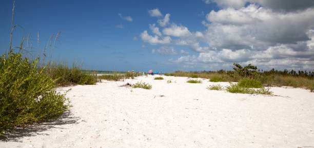 istock Blue sky over white sand and green beach grass 932564776