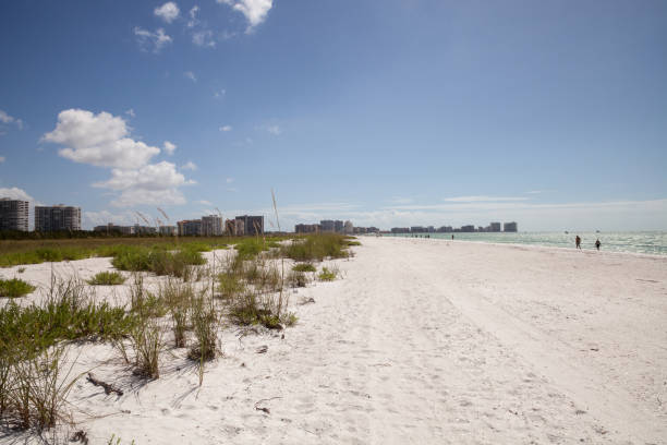istock Blue sky over white sand and green beach grass 932564806