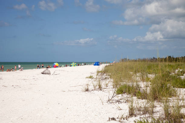 istock Blue sky over white sand and green beach grass 932564876