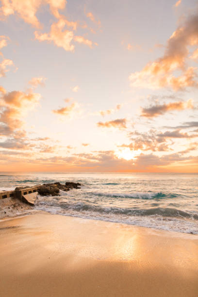 istock Golden Sunrise on Palm Beach 932565016