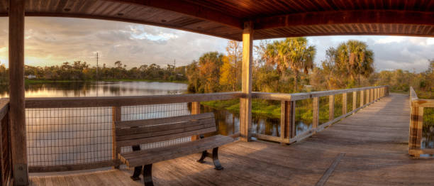 istock Sunset Wooden bench on a secluded, tranquil boardwalk 932565182