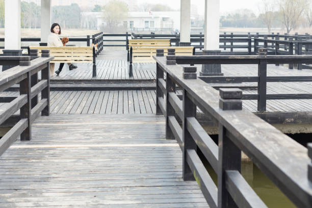 young female with her pet relaxing on park bench,china.