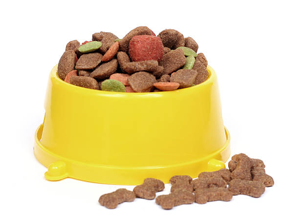 petfood bowl stock photo